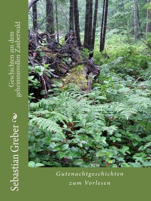 cover image of Geschichten aus dem geheimnisvollen Zauberwald